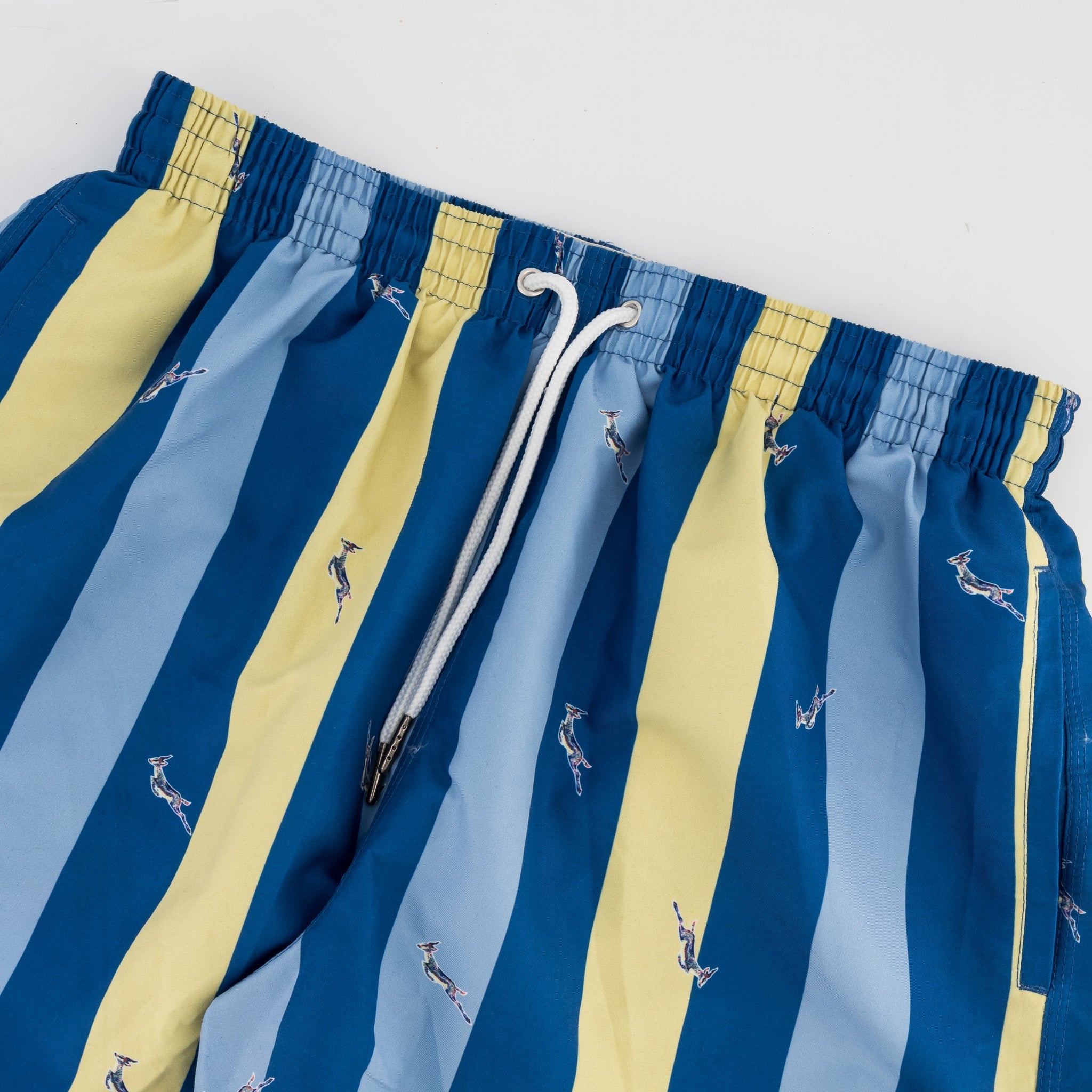 Springboks Candy Stripe SB Print Swim Shorts - Skyway - Old School