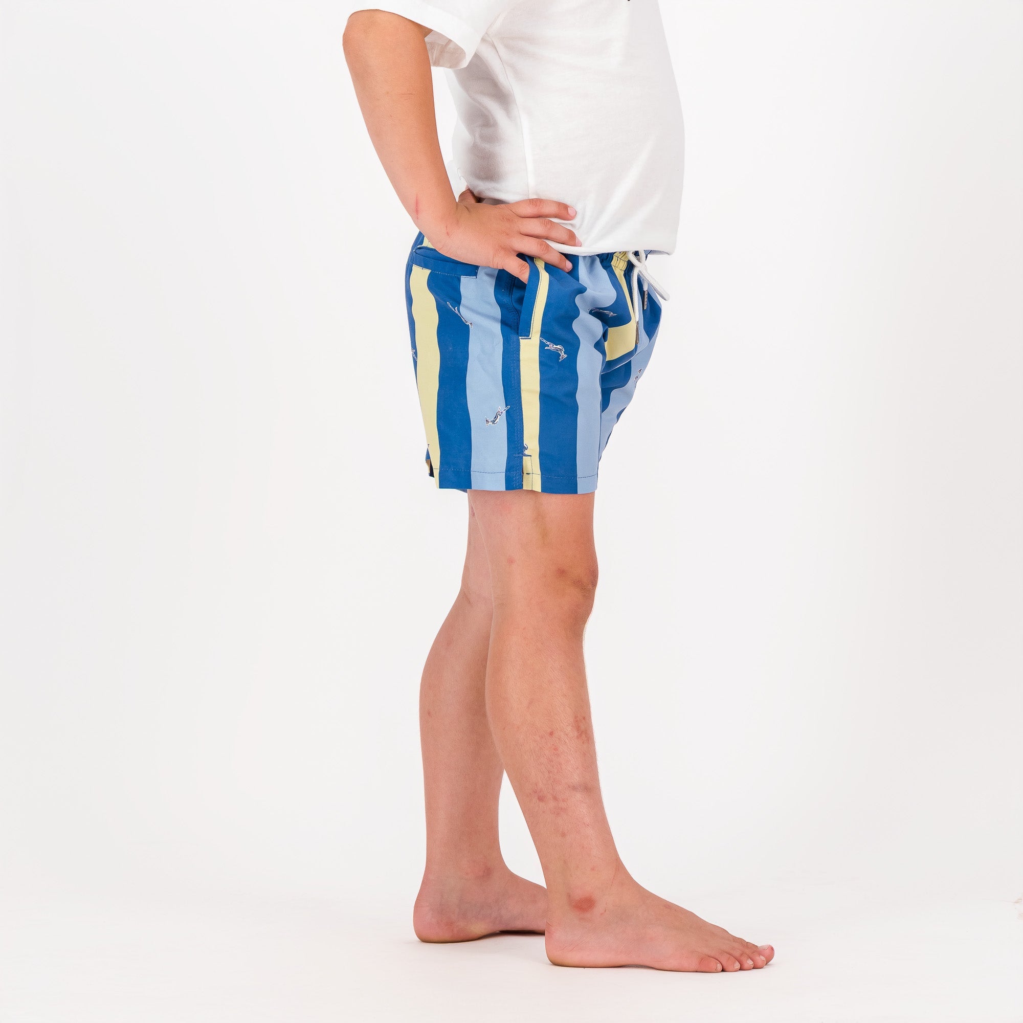 Springboks Stripe Print Kids Swim Shorts - Skyway - Old School