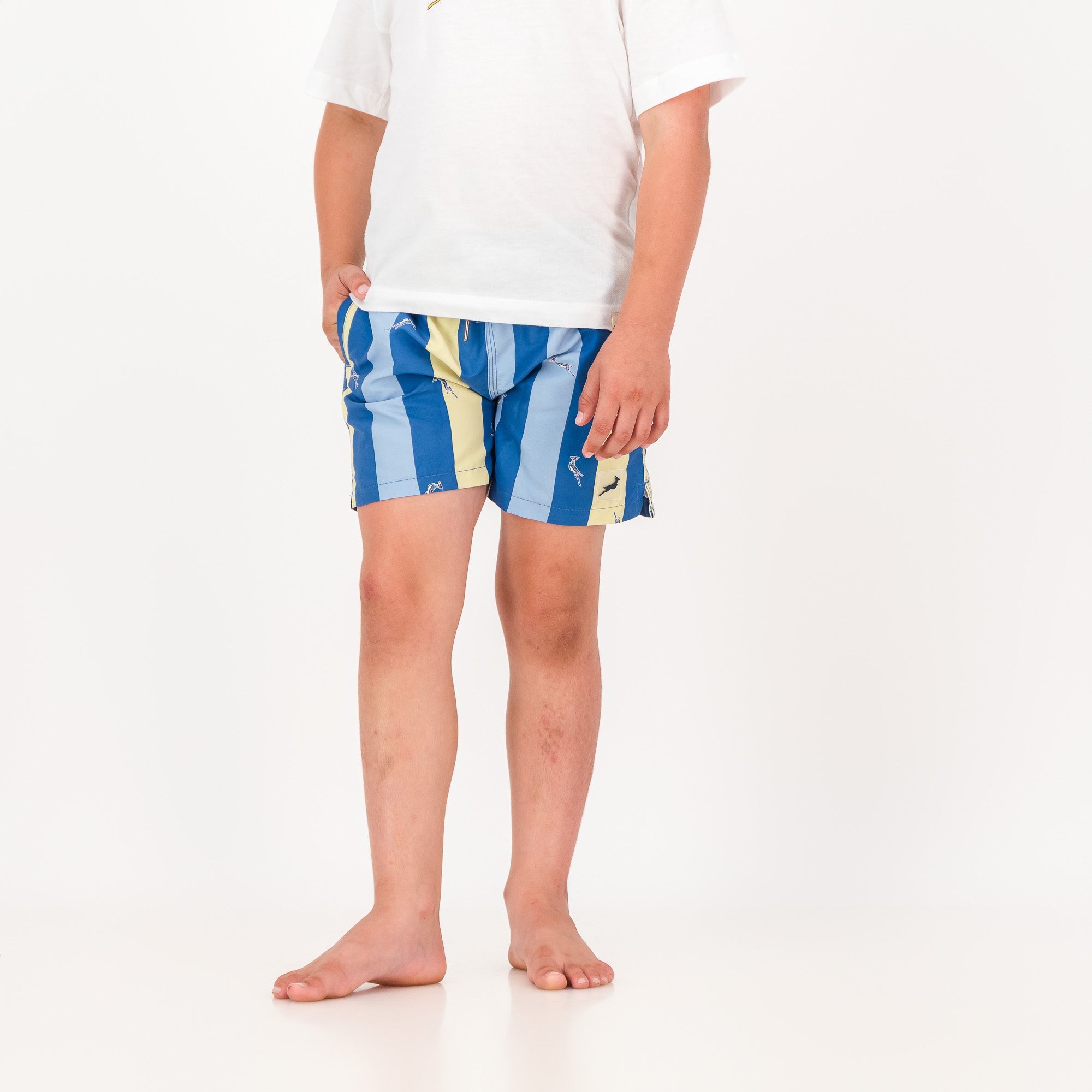 Springboks Stripe Print Kids Swim Shorts - Skyway - Old School