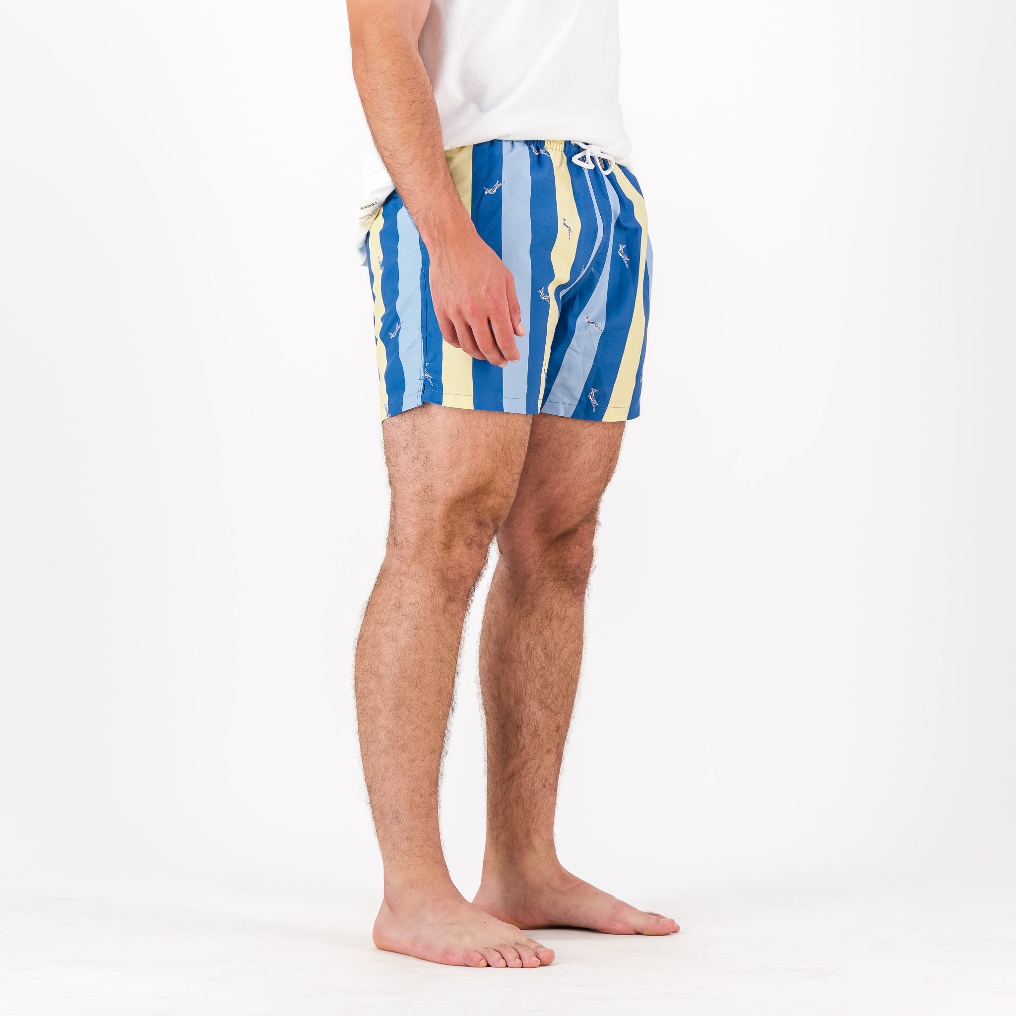 Springboks Candy Stripe SB Print Swim Shorts - Skyway - Old School