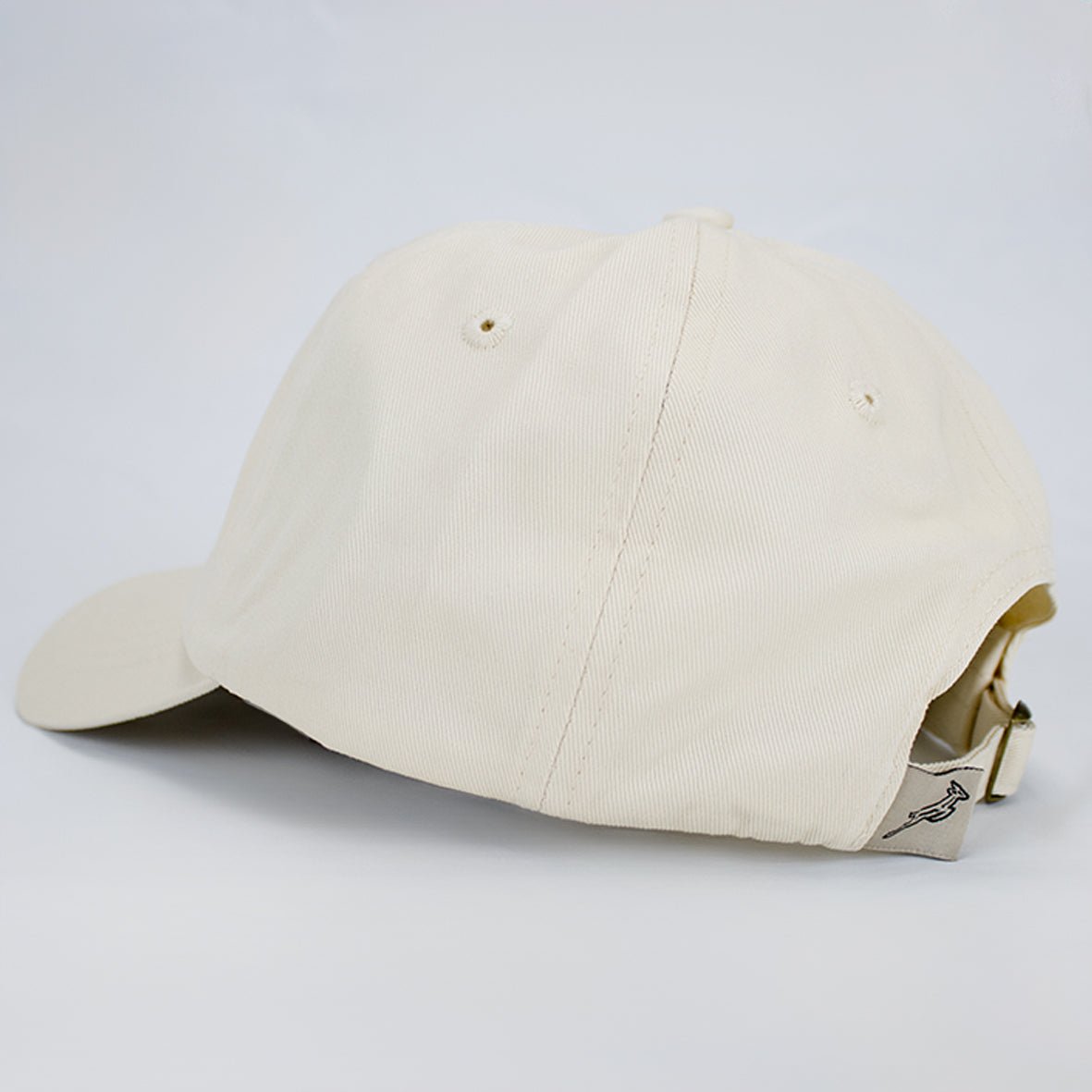 Springboks Shadow Dad Cap - Old School