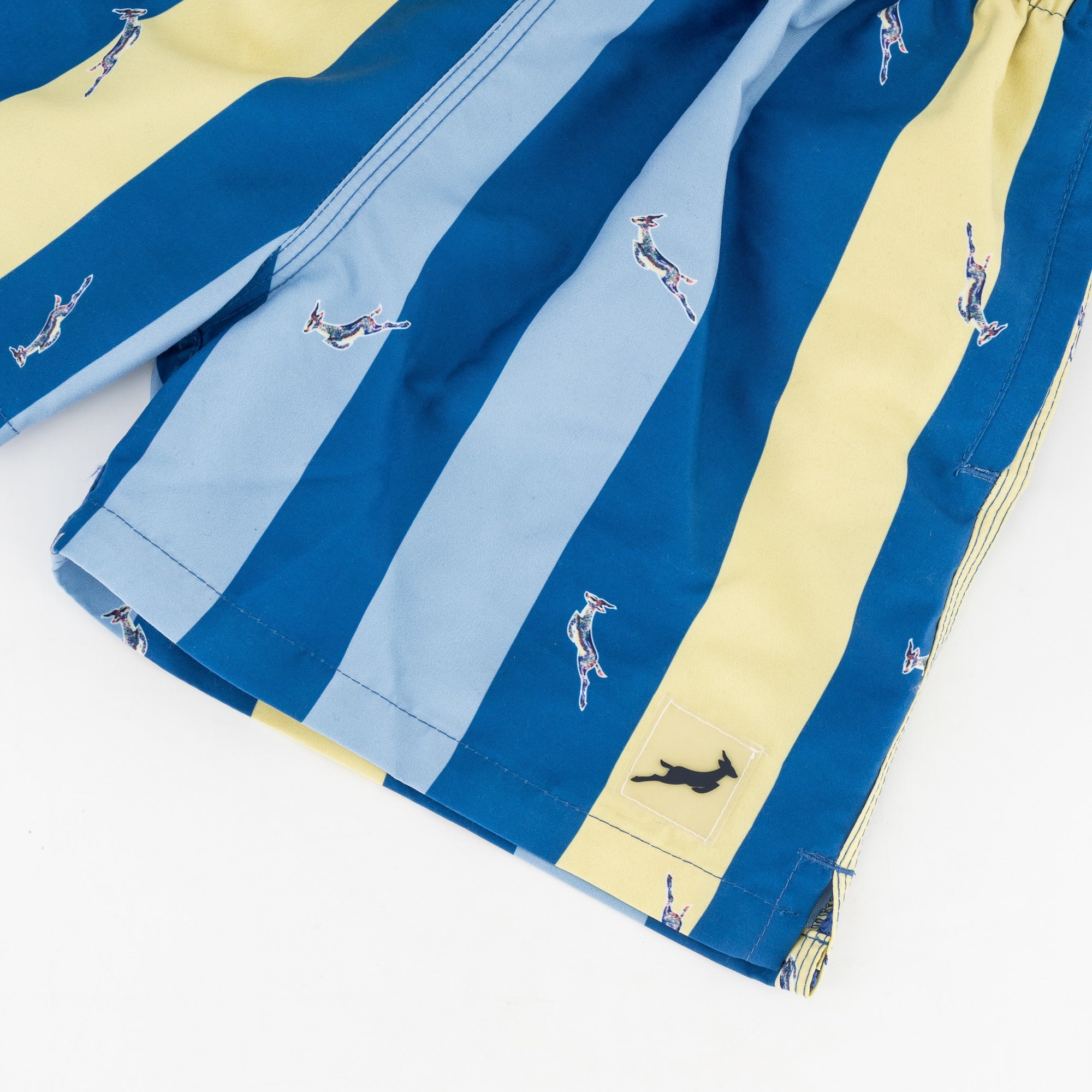Springboks Stripe Print Kids Swim Shorts - Skyway - Old School