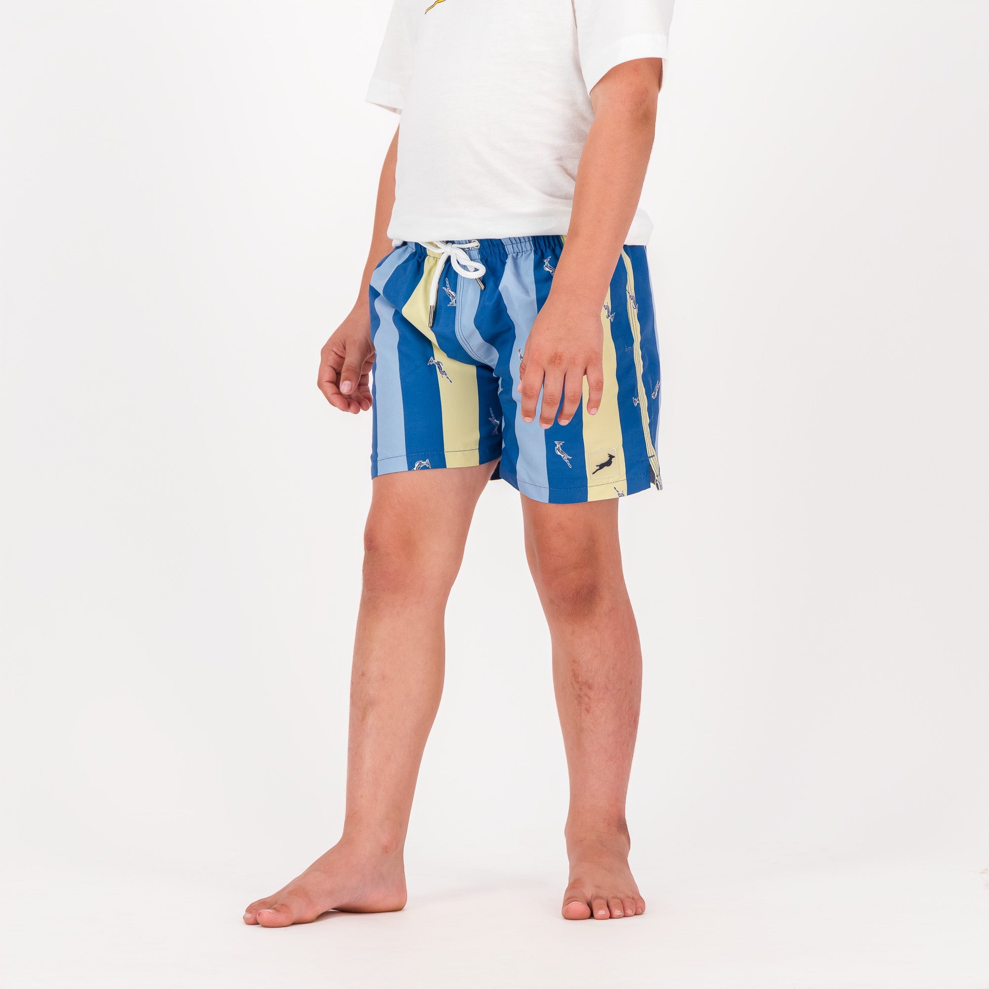 Springboks Stripe Print Kids Swim Shorts - Skyway - Old School