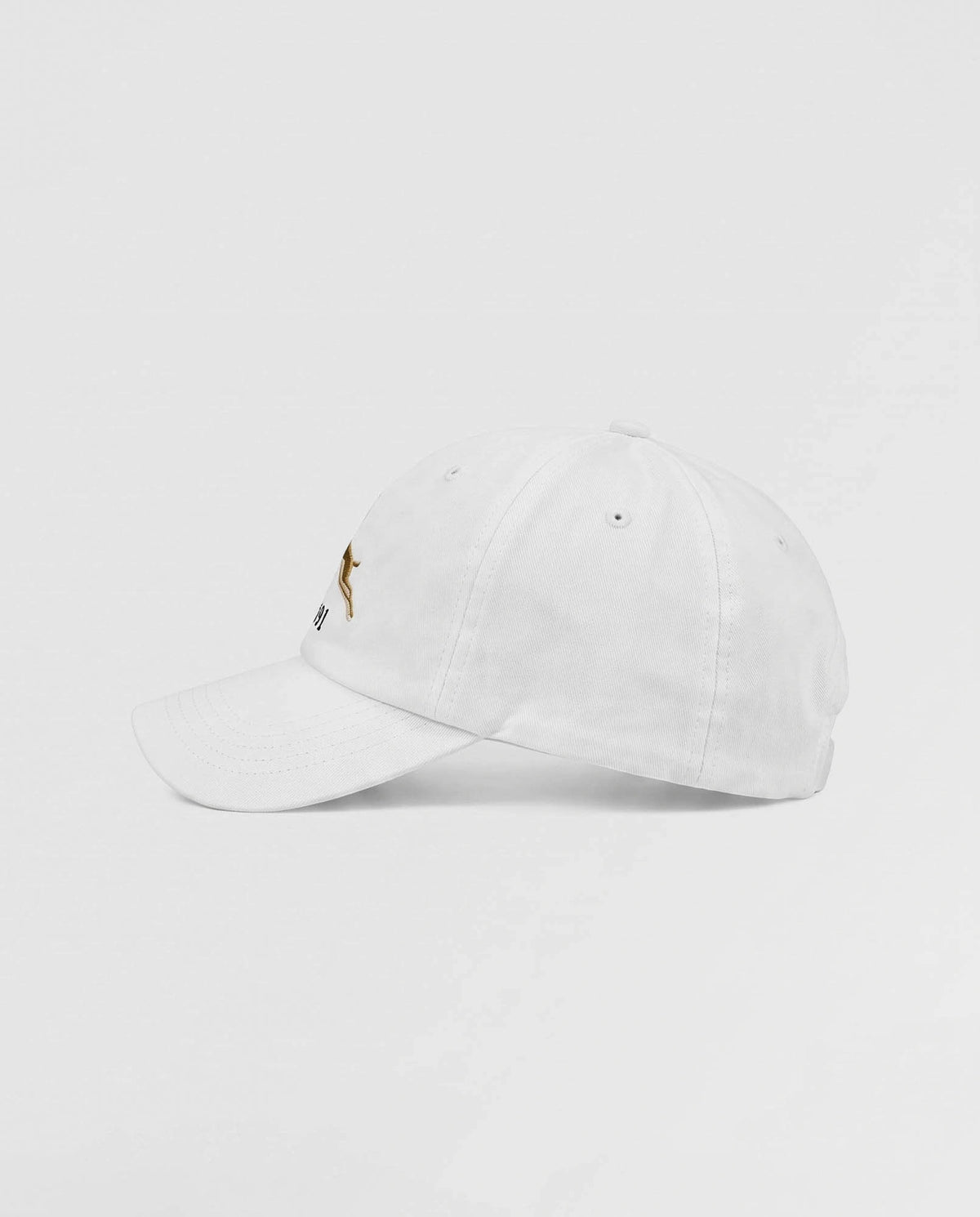 Springboks 1891 Dad Cap Ivory